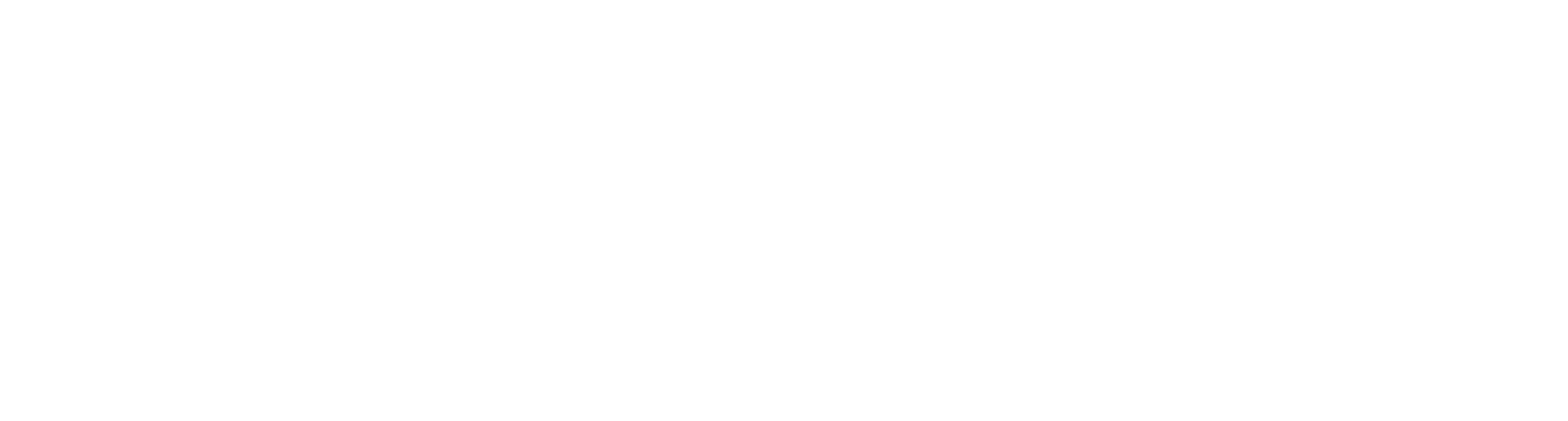 Logo nuevo2